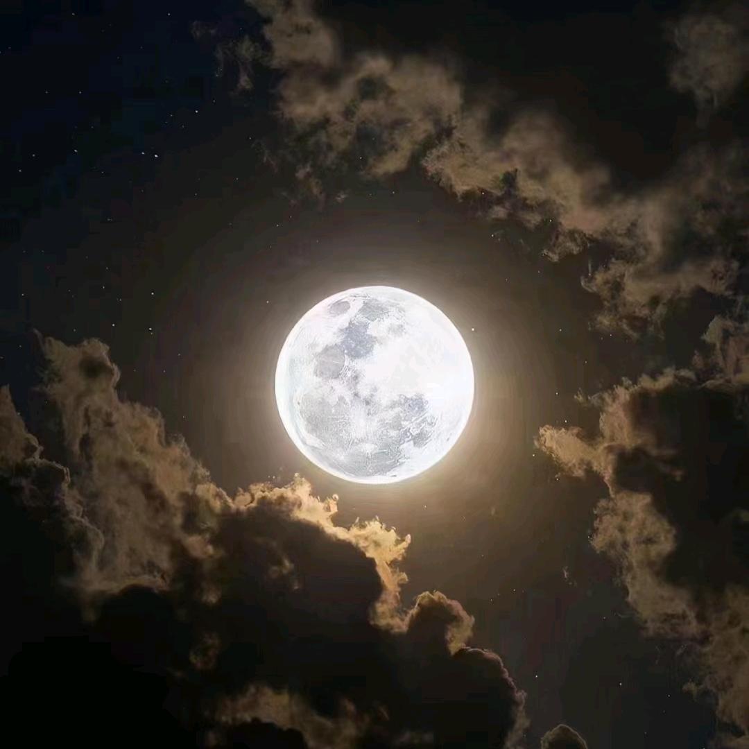 ៚᭄永🍶哥ॣདྷ༗࿐