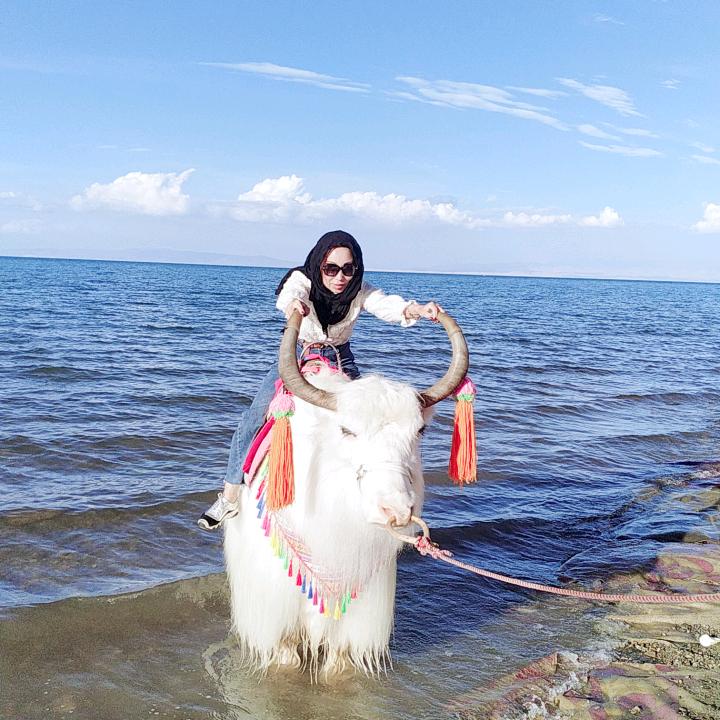 英子带你看世界