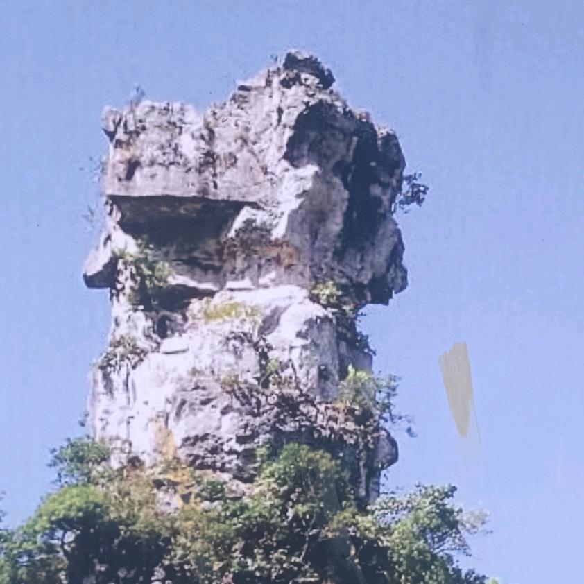 只有我单身的