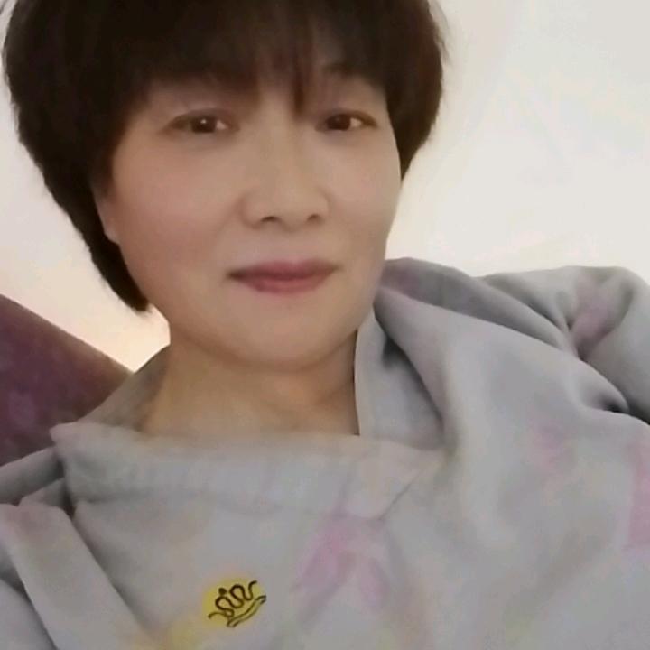 明凤