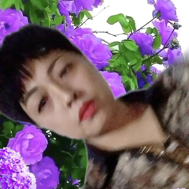 杜姐