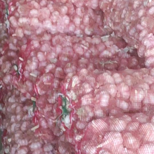 俺是济南大青棵生产基地，大蒜姐