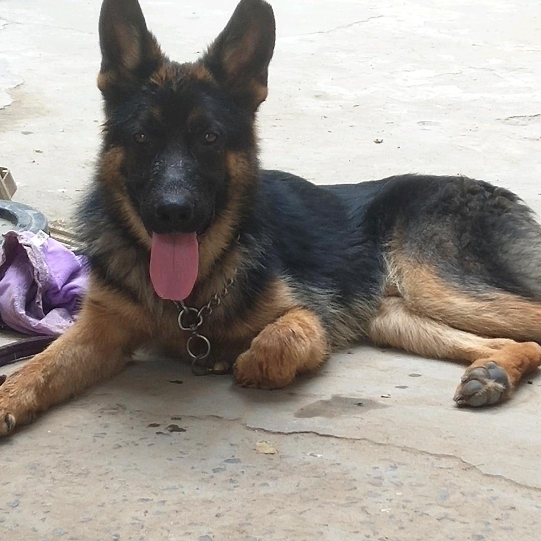 +_+伟弟👉👉許