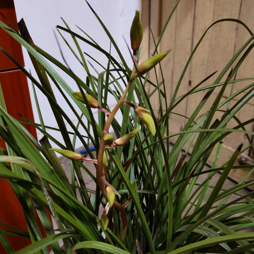 80后的小猪猪，余生珍贵，请不要浪费