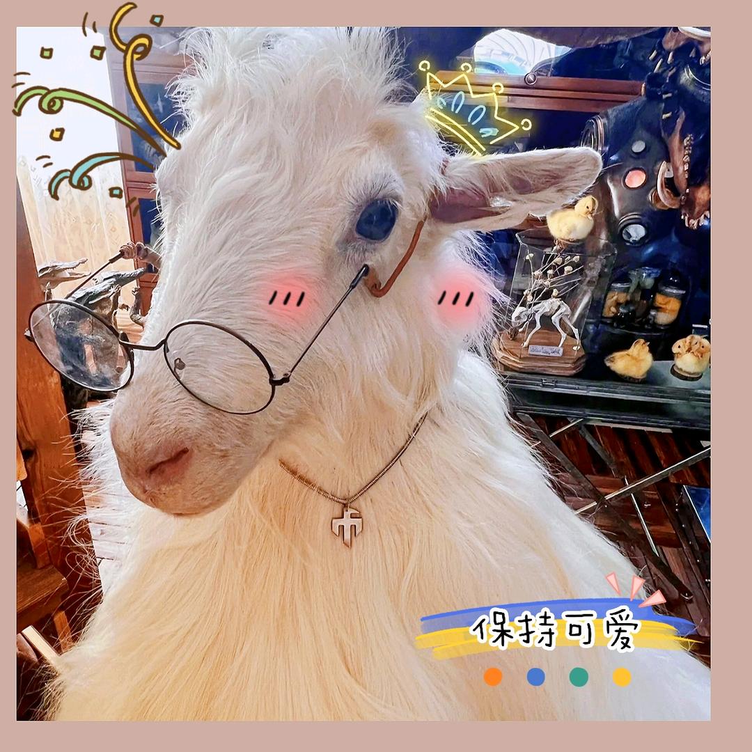 盈满多多日用百货店