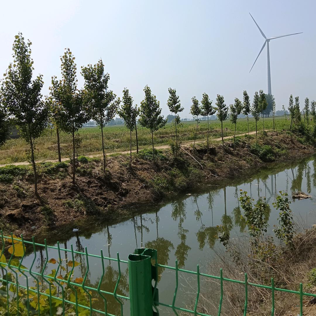 封丘县兆林农资销售有限公司