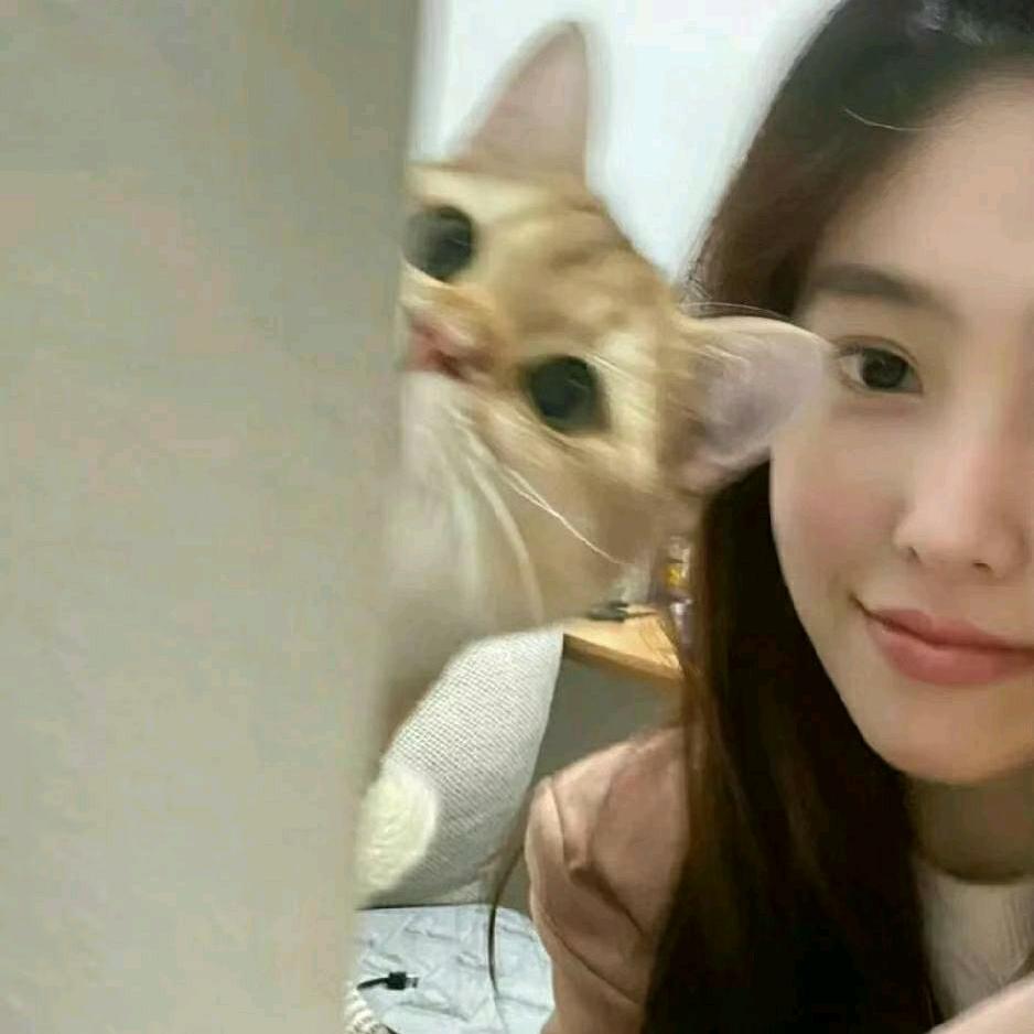 别和我抢香菜.