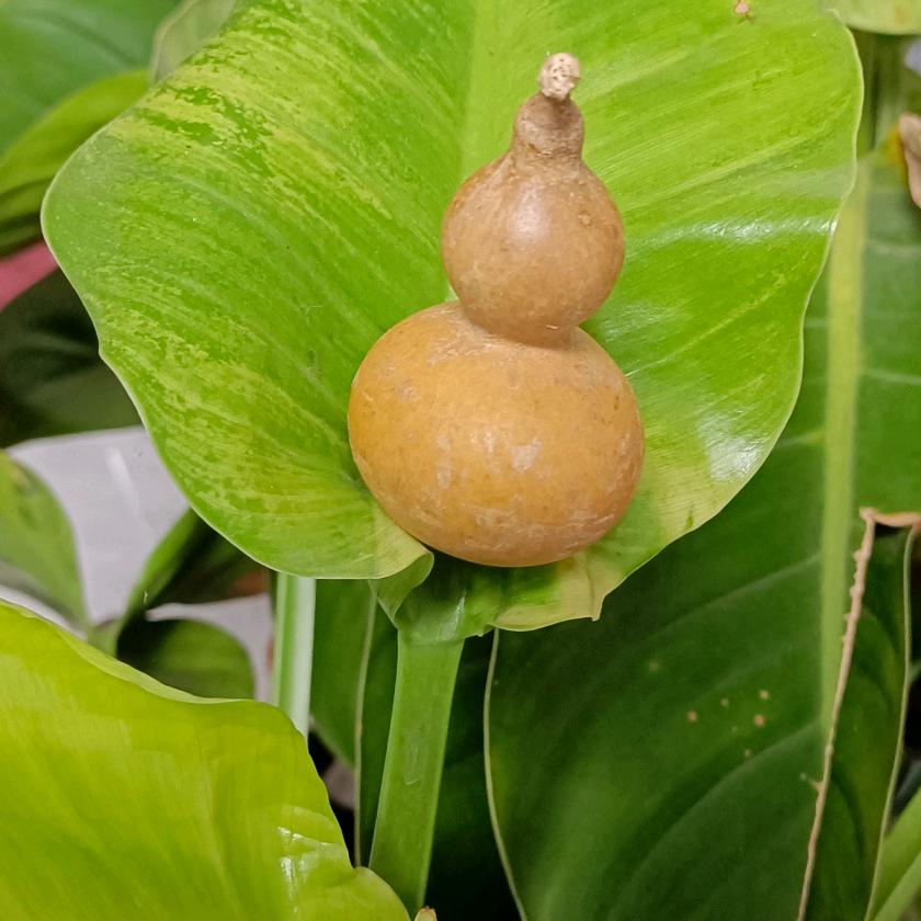 晴天好心情