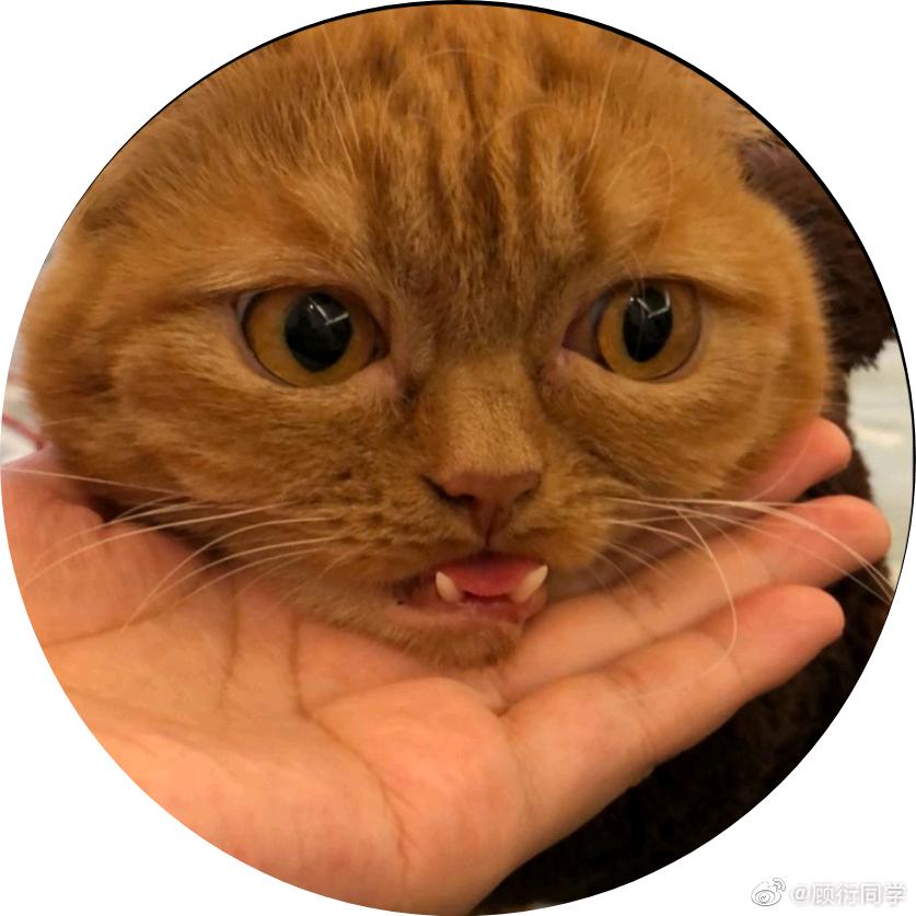 岑迷不露脸岑 重拾快乐版