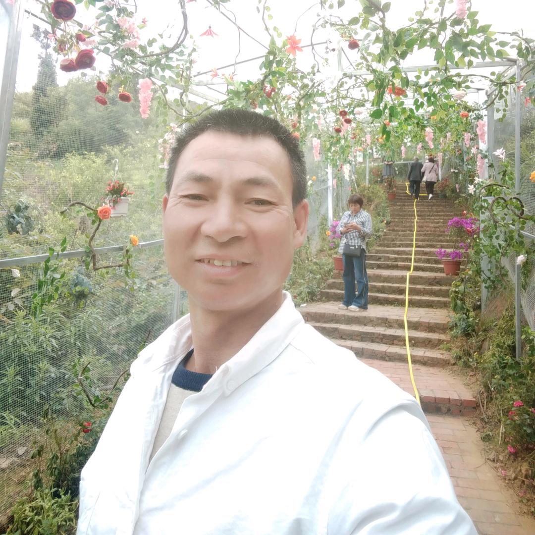 折羽的卫士