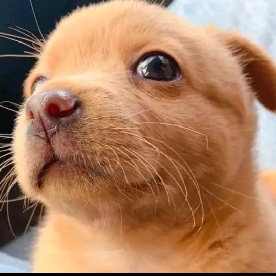 o.o