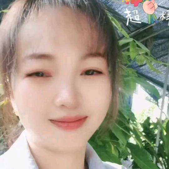 惠州名扬花木场+梅州沙田柚直销点