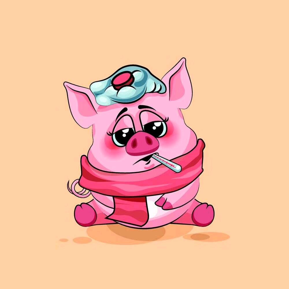 兔子不吃胡萝卜