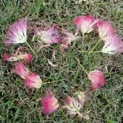 小雨点(找工作请认准宏亿达人力资源）