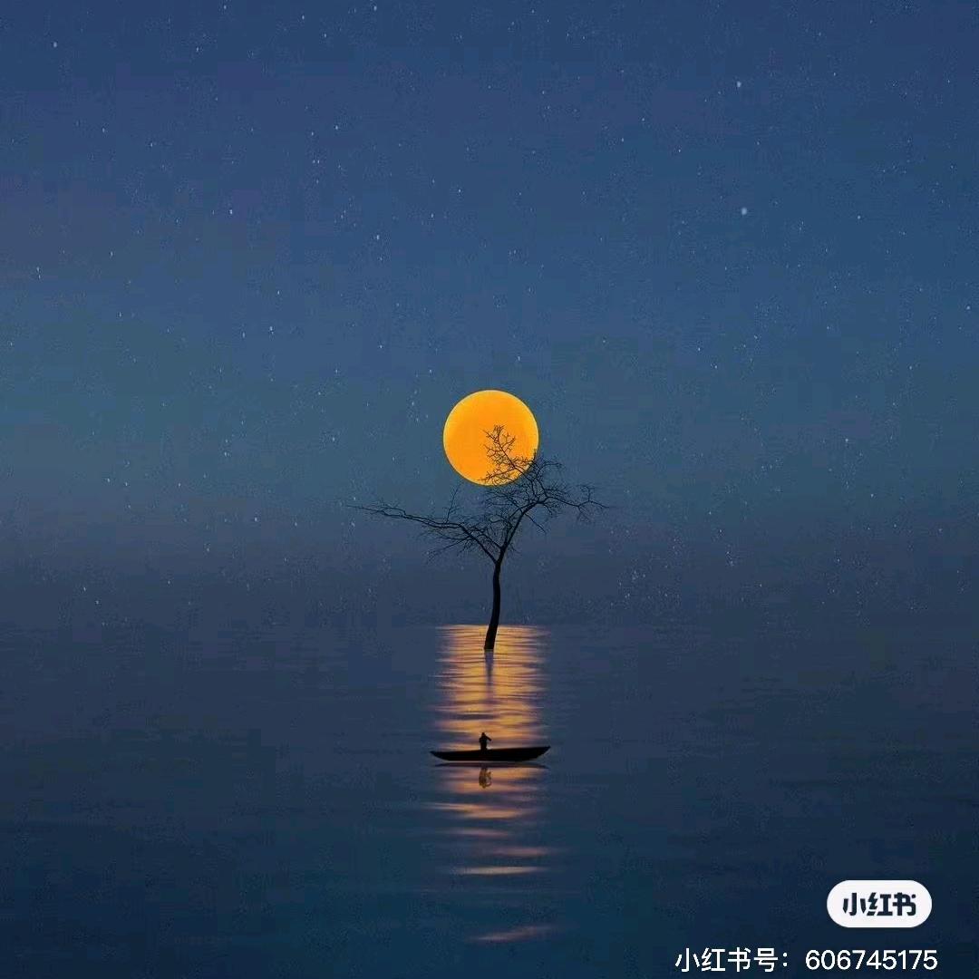 也许温柔