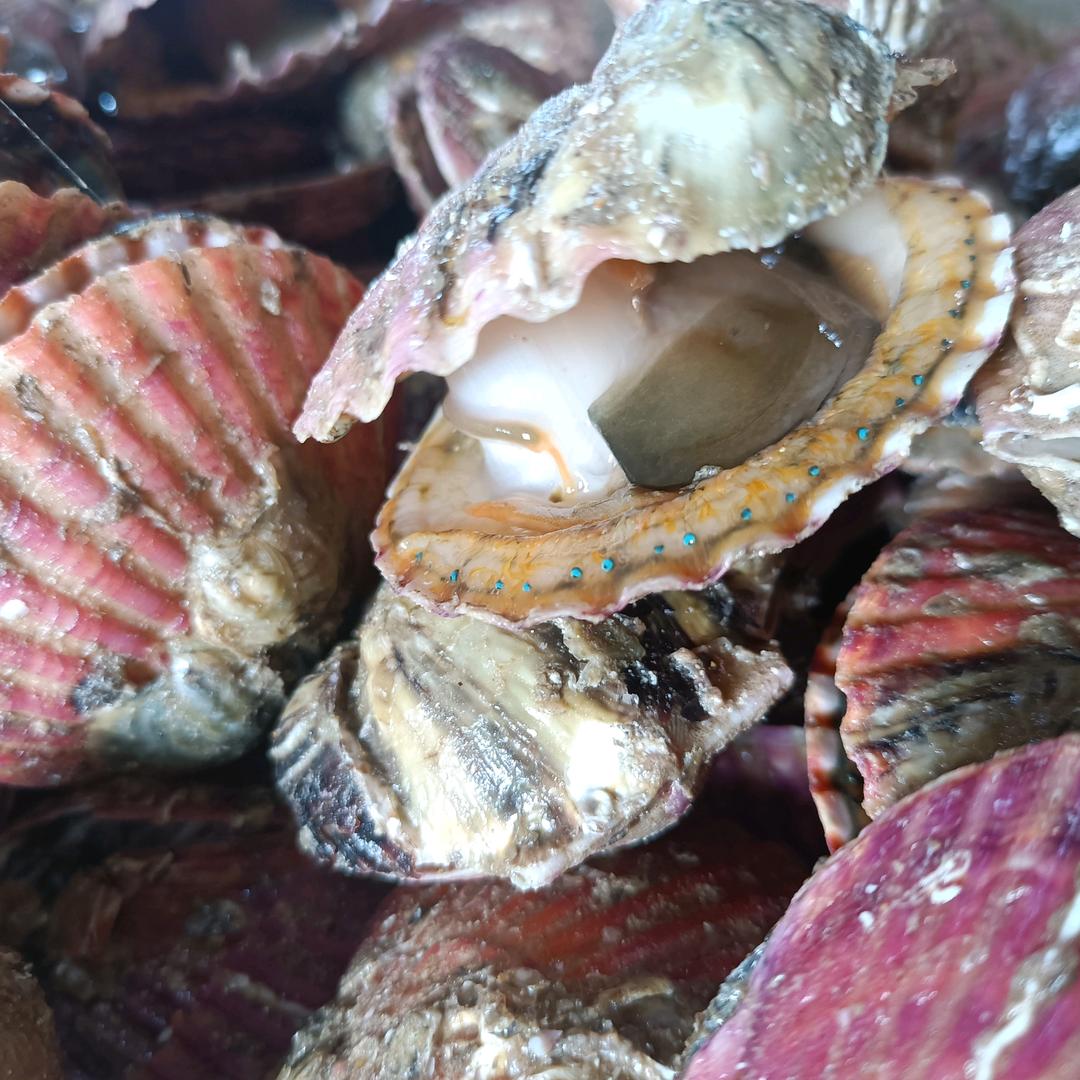 快乐人生路，开心就好yes