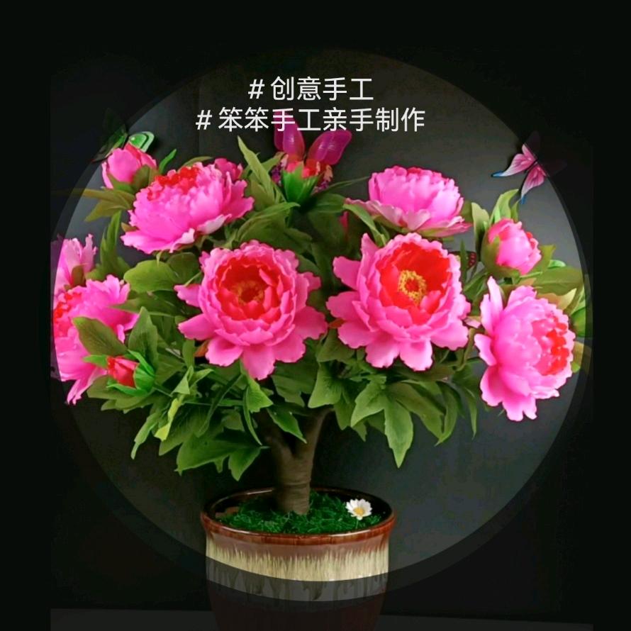 笨笨手工198👑