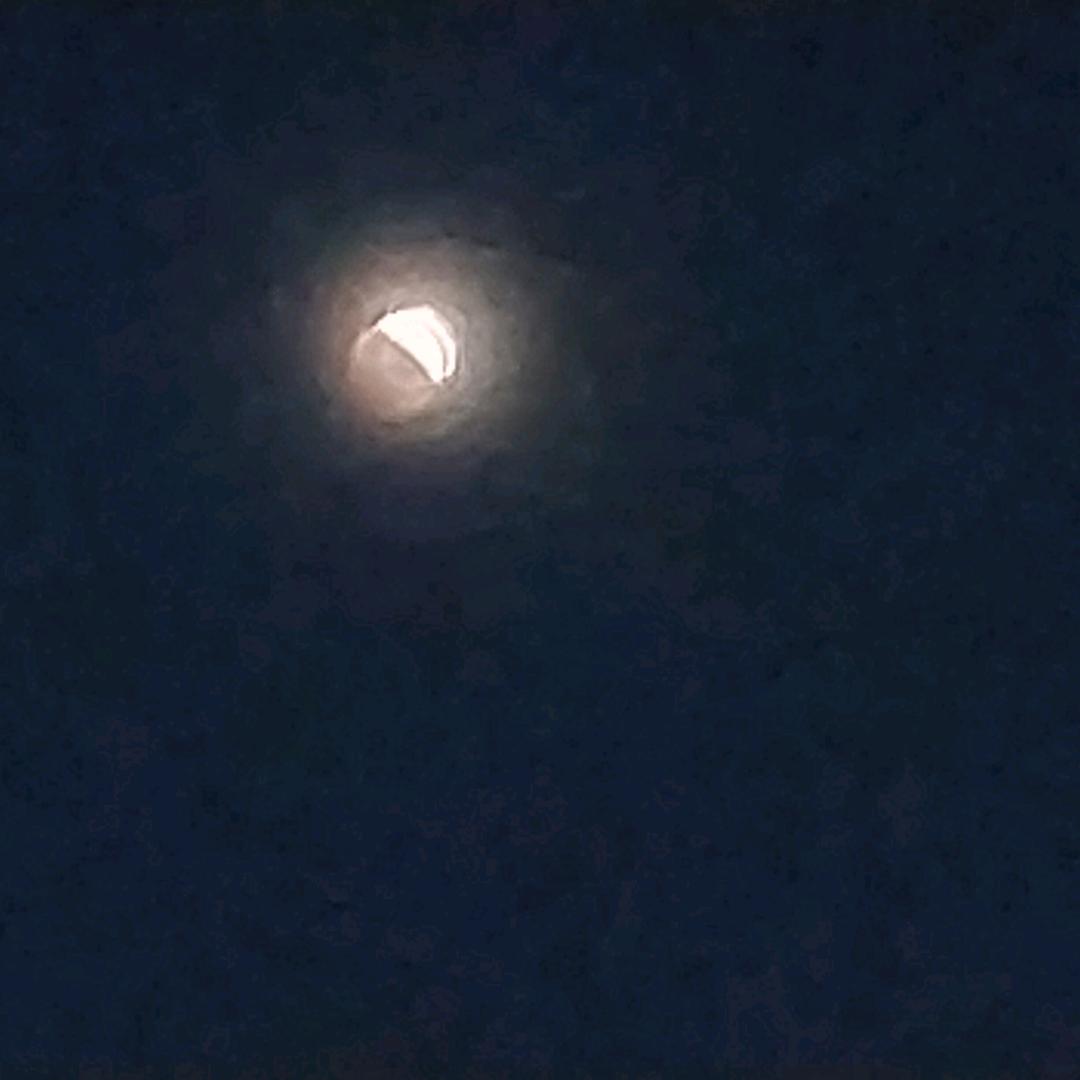 松鼠