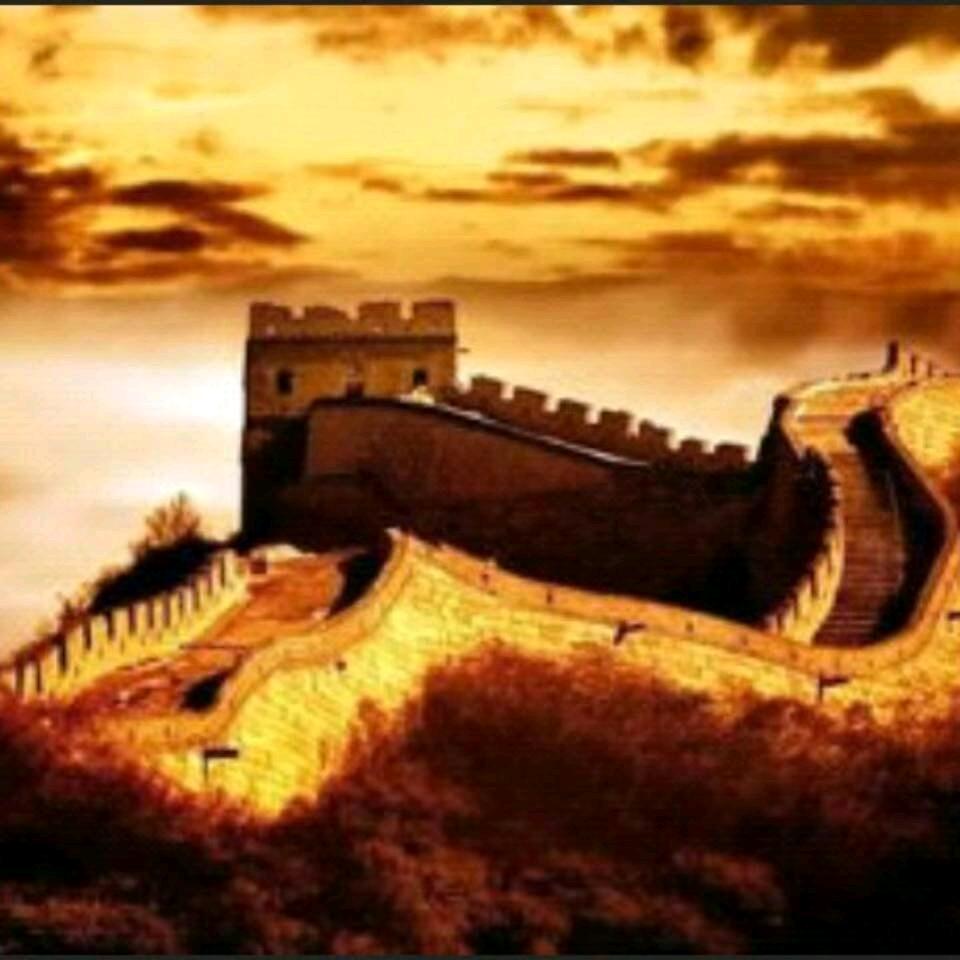 时代中国13569666