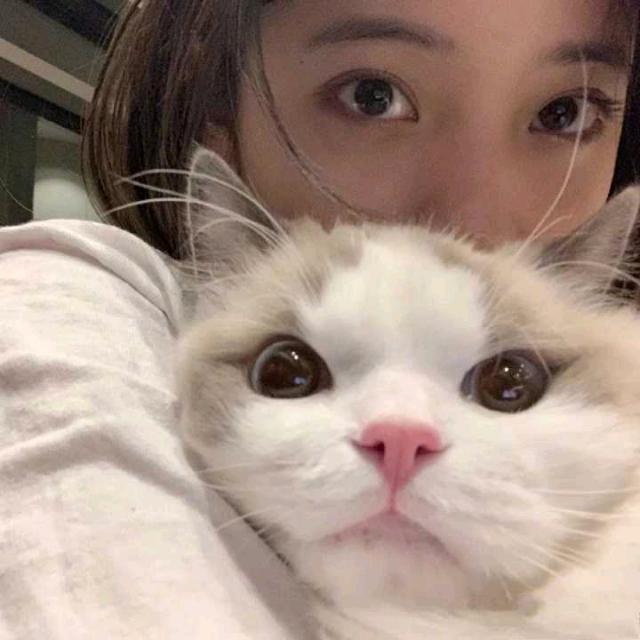 水泥♥封心