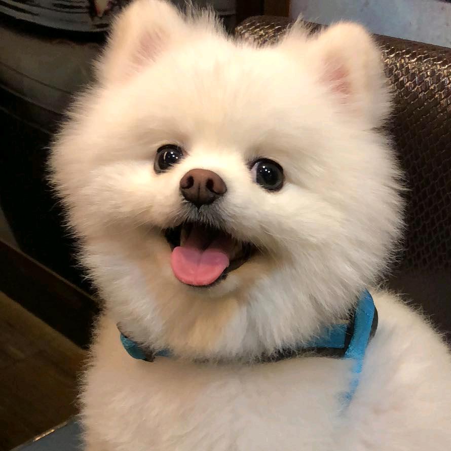 琉璃