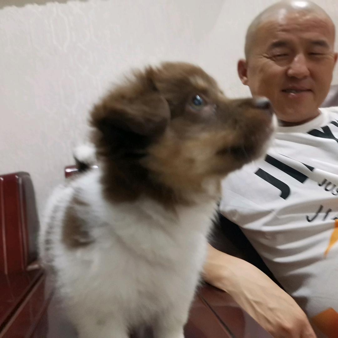 小宇和米粒的快乐生活