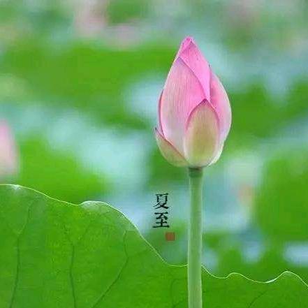 静🎀