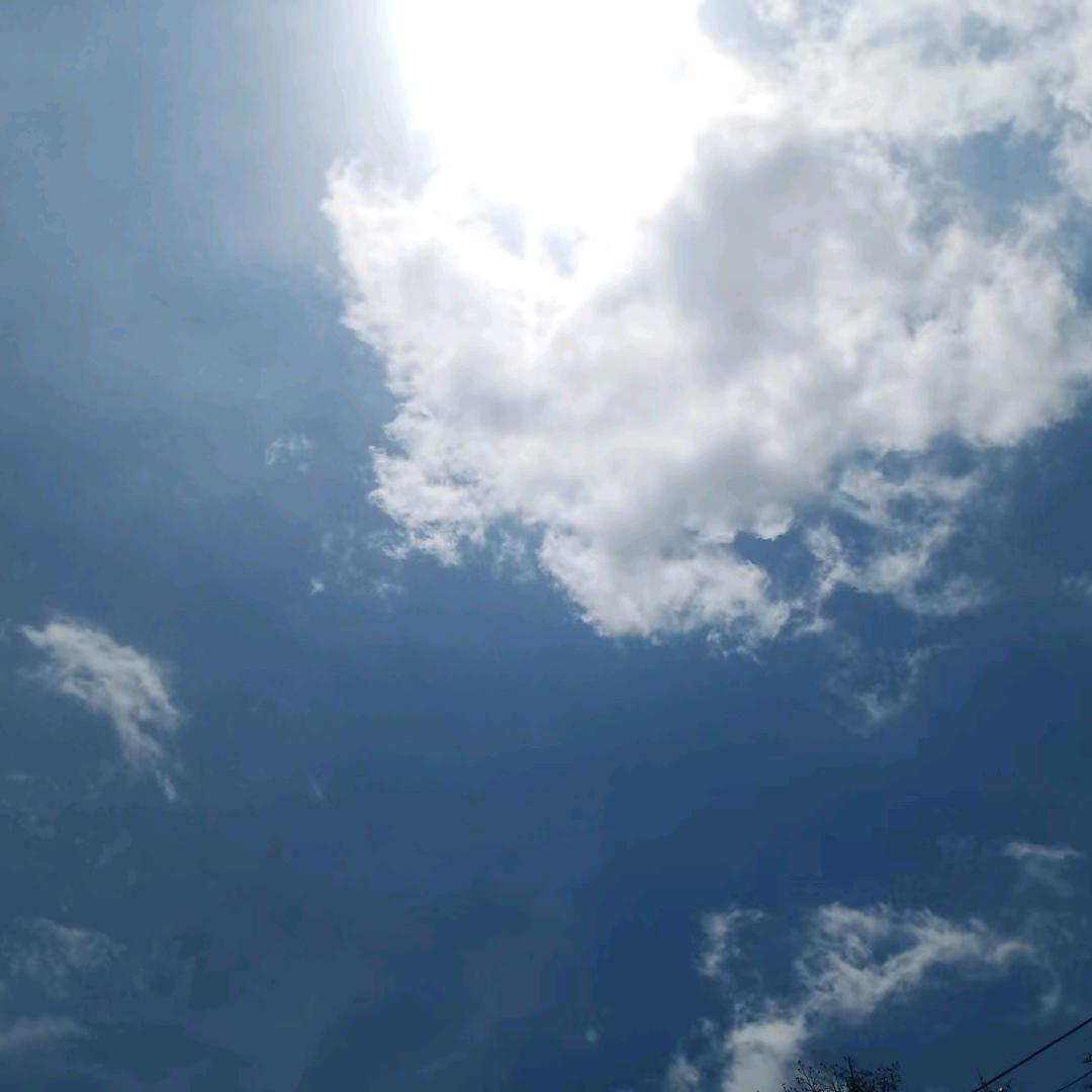如果可以重来