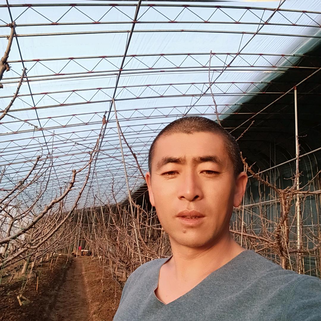 80后的小老农（注重生态倡导有机）