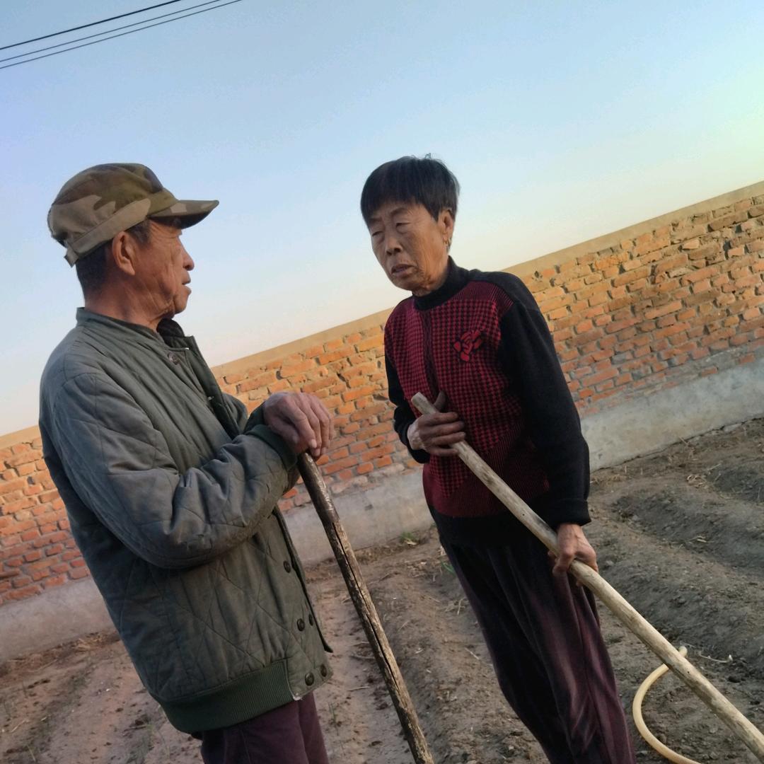 50后老爸老妈