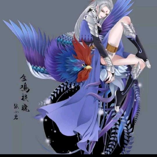 韩贝贝