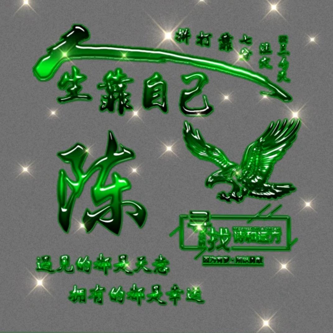 勇敢舰队