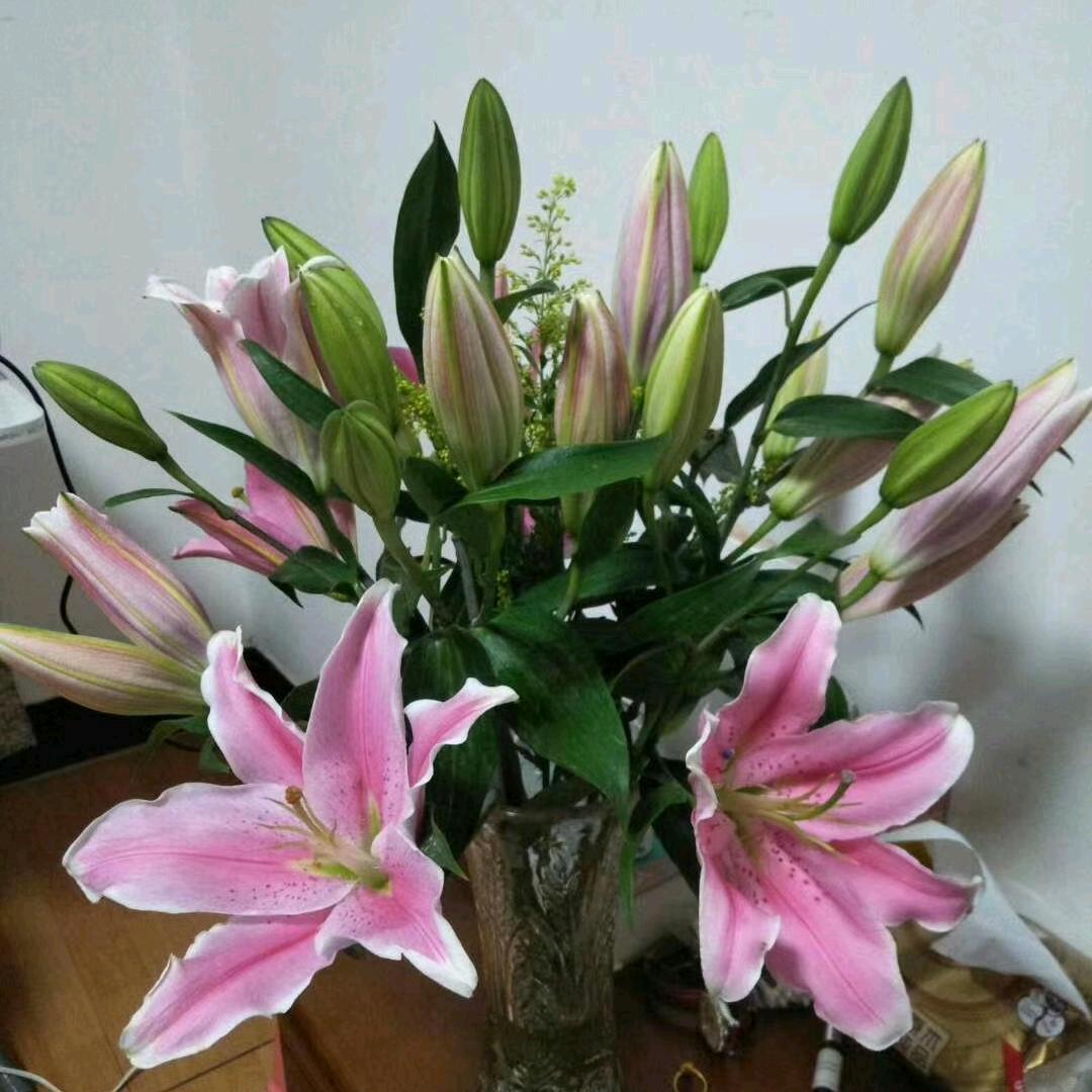 涛声依旧