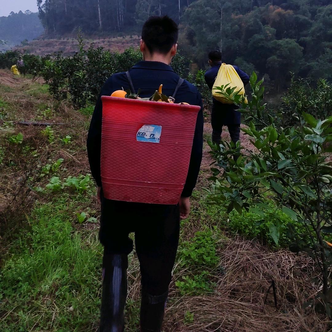 小袁（碧水青山垂钓中心）