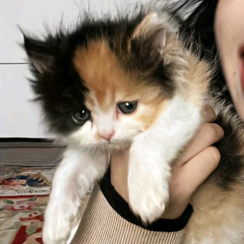 清风酒街