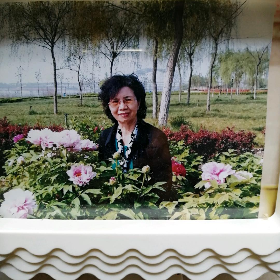 牡丹