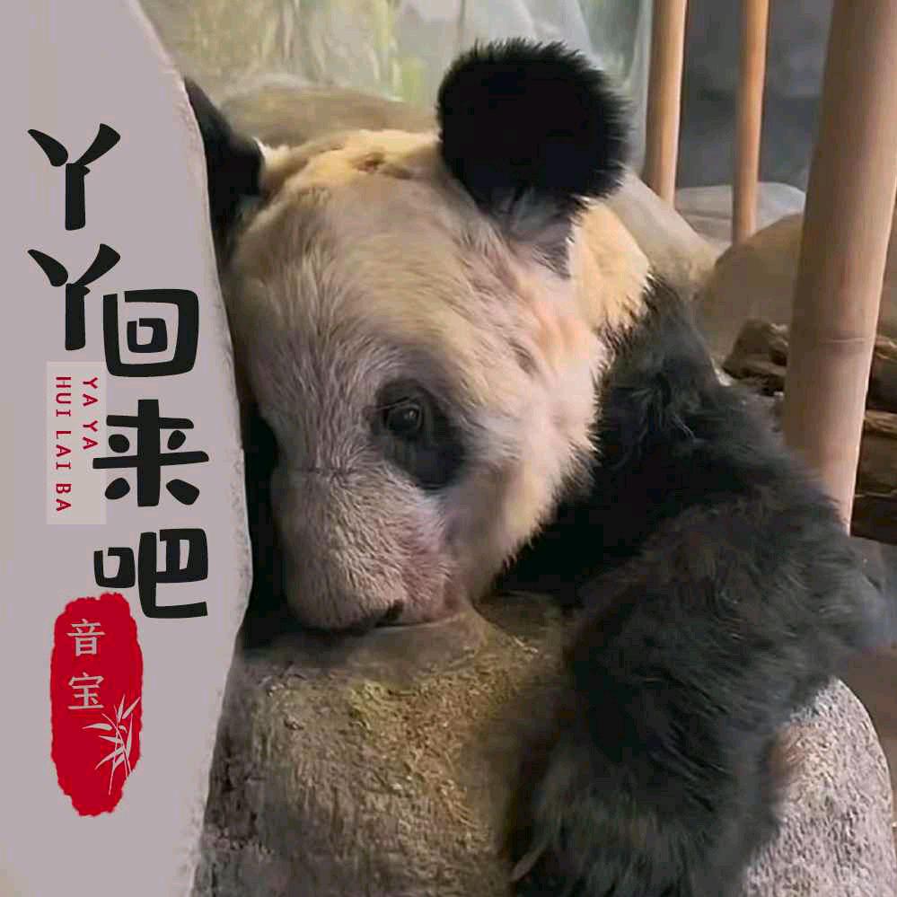 思念861
