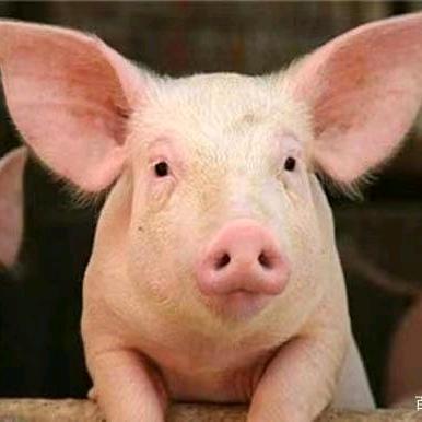 山西华尔顿种养股份有限公司