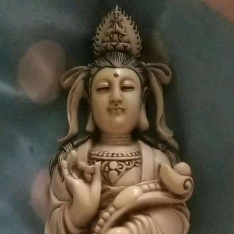 兖州八百里鸣虫