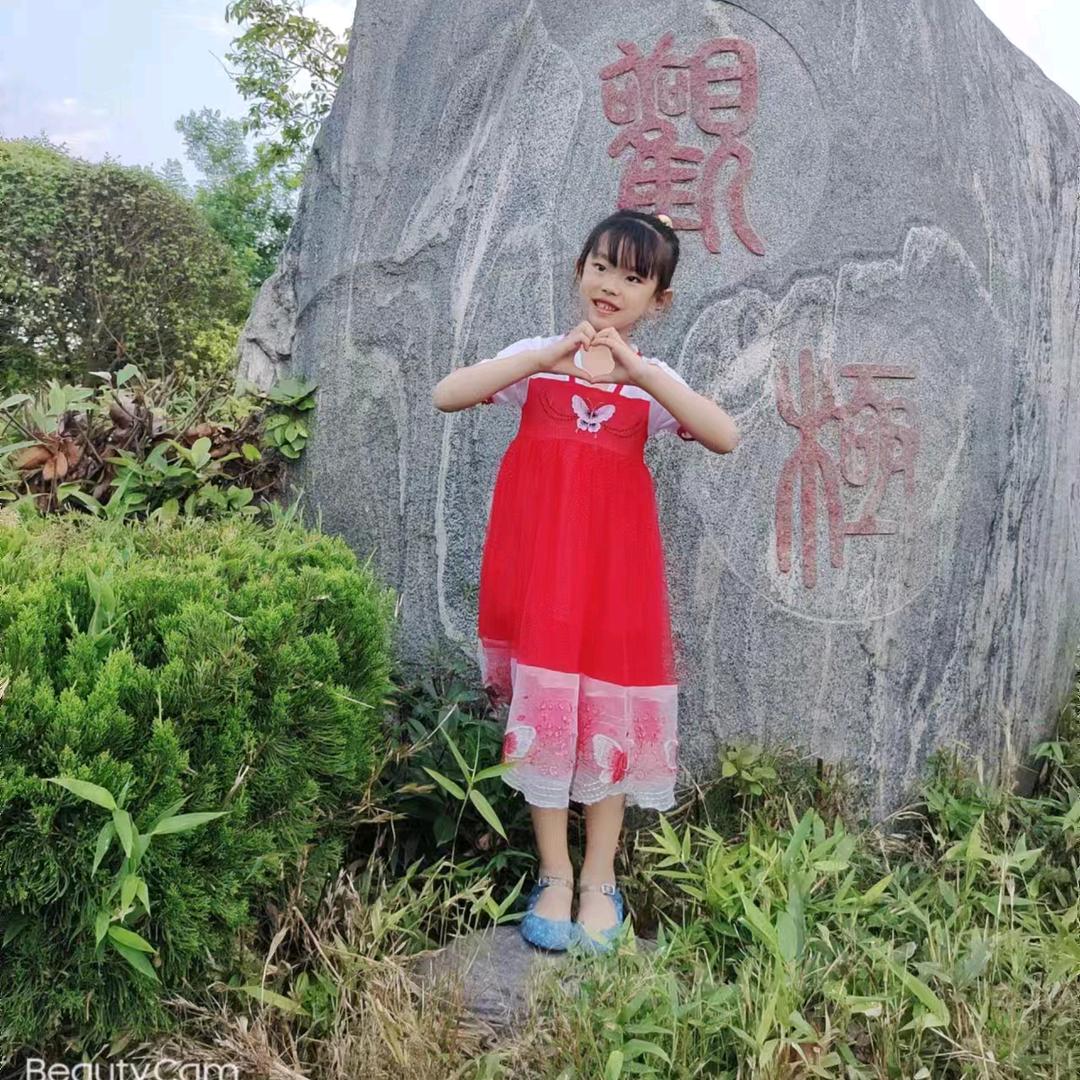 琴