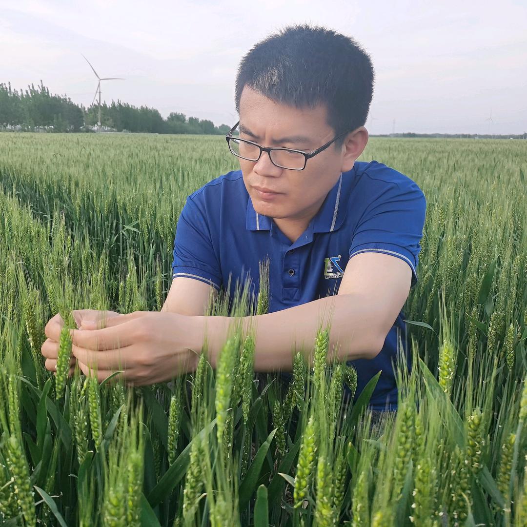 田间地头的书生