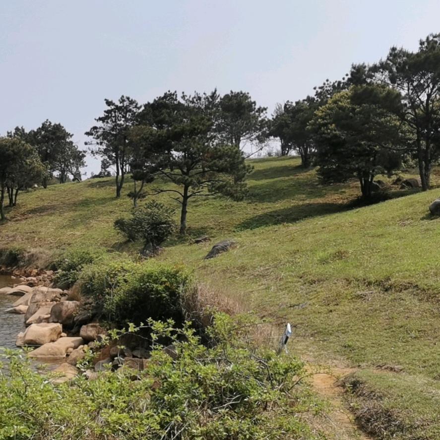 相濡以沫1