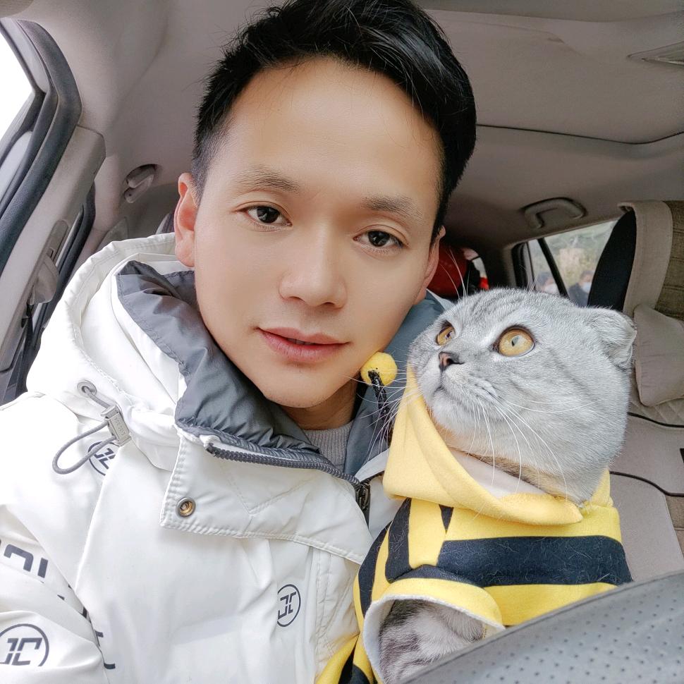 奇葩小洋杨