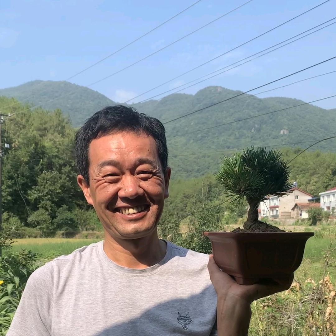 远安县盛利盆景店