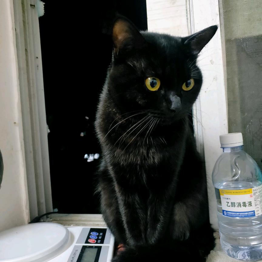 读碟