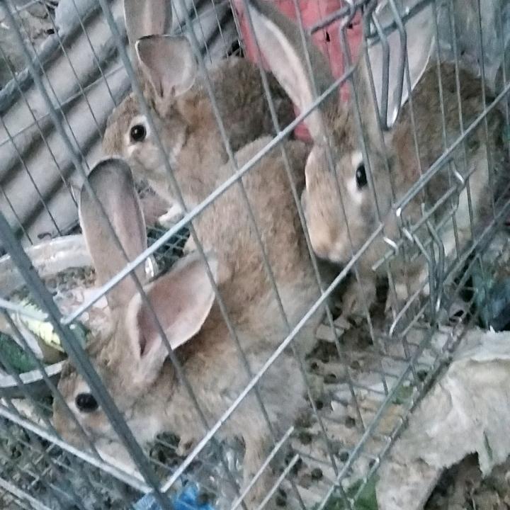 ∑捍卫♀
