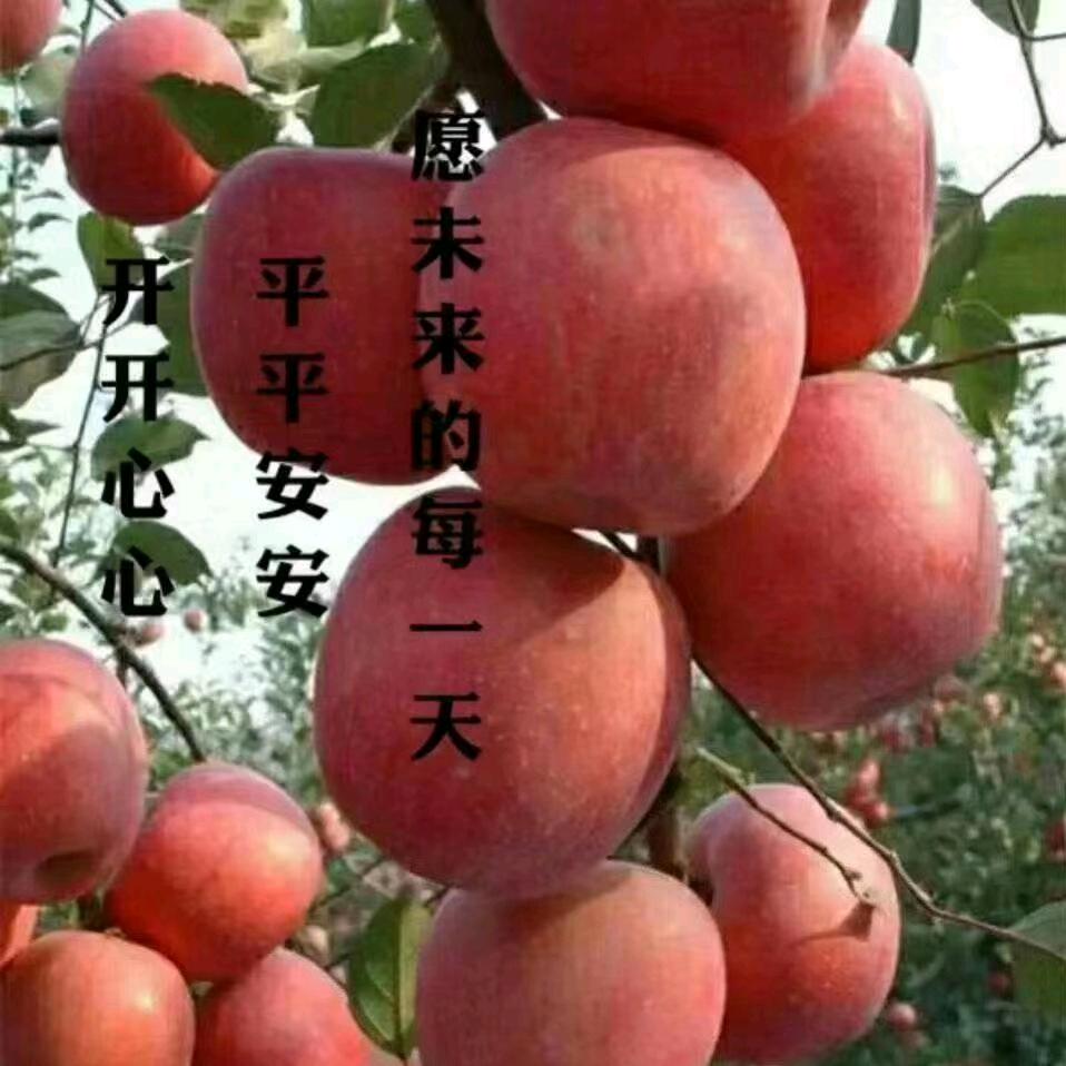 丁力锋