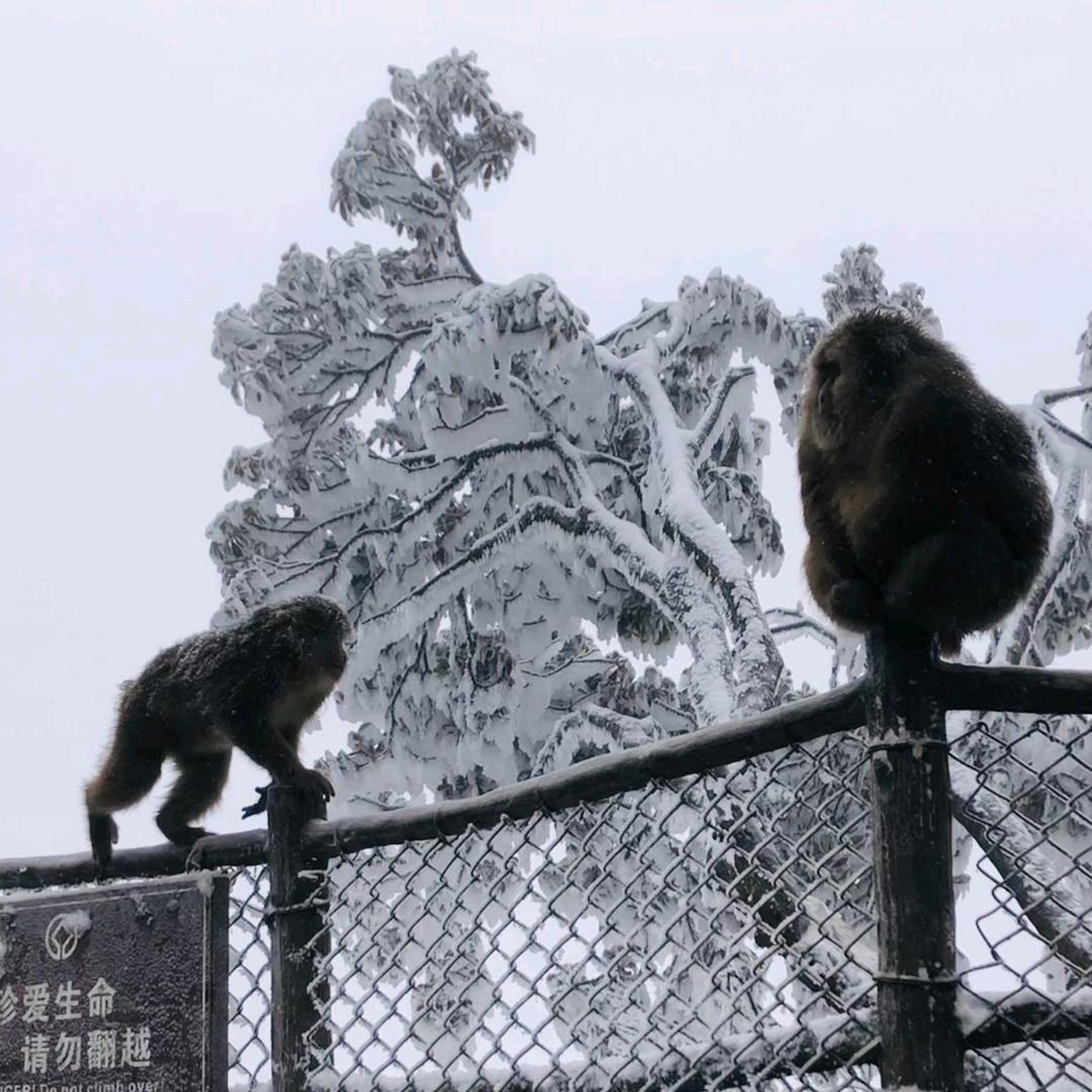 露营员外