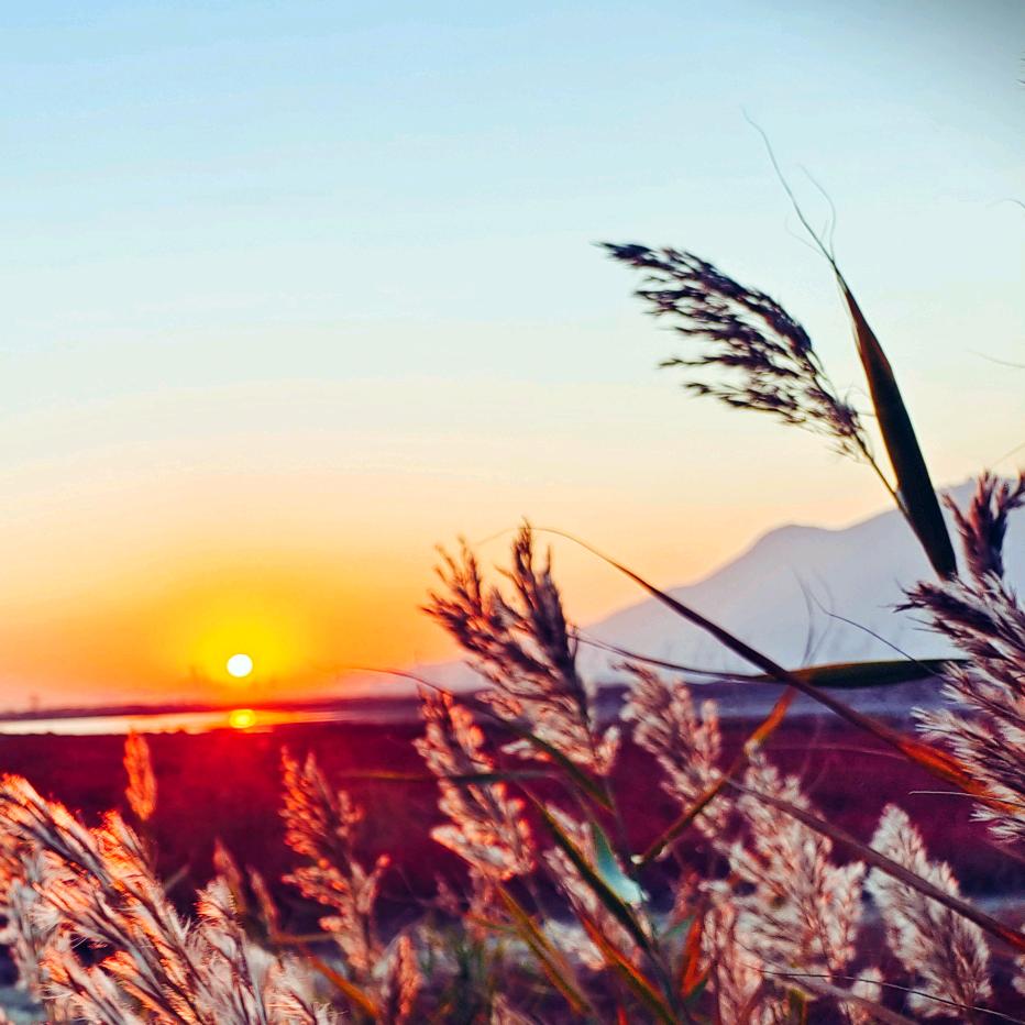 爱 喜悦 平和 开悟