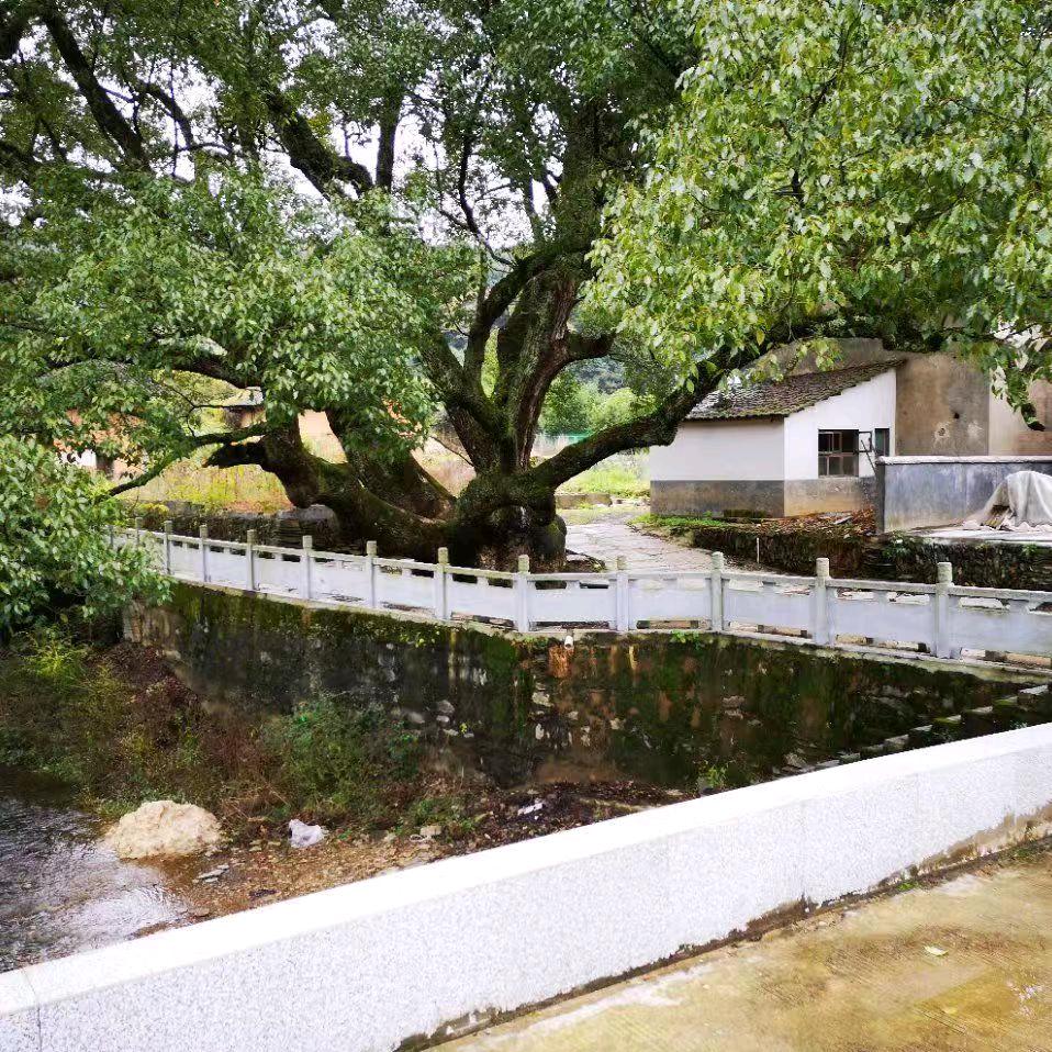 小人物到哪